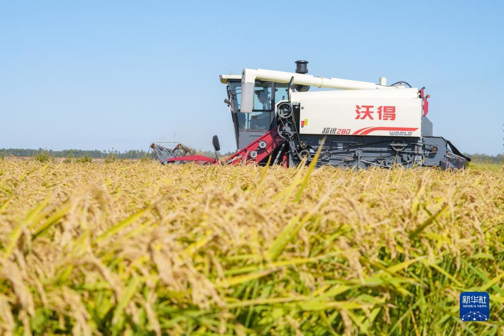 鼎盛游戏娱乐